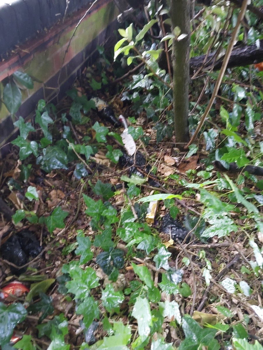LongbridgeWMP's tweet photo. PCSO's conducted a knife sweep and recovered a knife from the bushes in an alleyway next to the Bristol Road South. This has been safely disposed of in the weapon surrender bin located at Morrisons Rubery #opsceptre #communitysafety https://t.co/hF1WuAzm4d