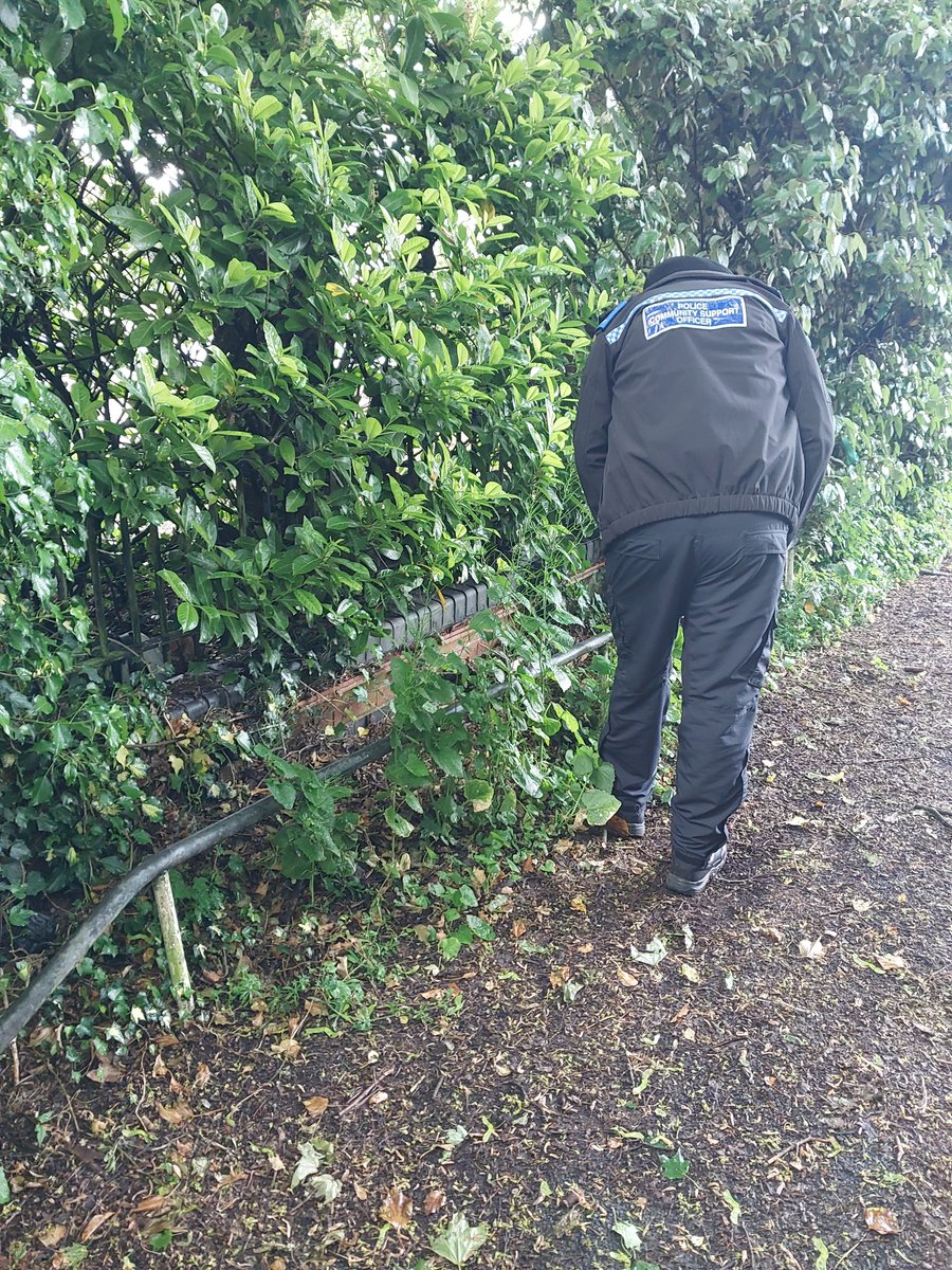 LongbridgeWMP's tweet photo. PCSO's conducted a knife sweep and recovered a knife from the bushes in an alleyway next to the Bristol Road South. This has been safely disposed of in the weapon surrender bin located at Morrisons Rubery #opsceptre #communitysafety https://t.co/hF1WuAzm4d
