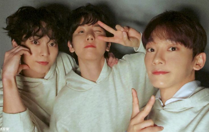 ✧ 𝗞𝗮𝗿𝗲𝗻⁹엘🪻💚❤️💙 tweet media