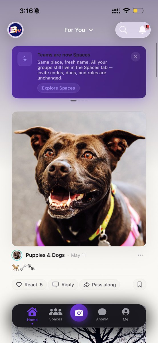 Ynsincolor's tweet photo. this is what my new app looks like , you will be able to promote any type of content ! Also the more subscribers you bring too the app you will get paid a percentage from that aswell . Stay tune 💪🏾🤎this for all my YNS. Who need a safe space to make 💯 https://t.co/xT0TZD4GIe