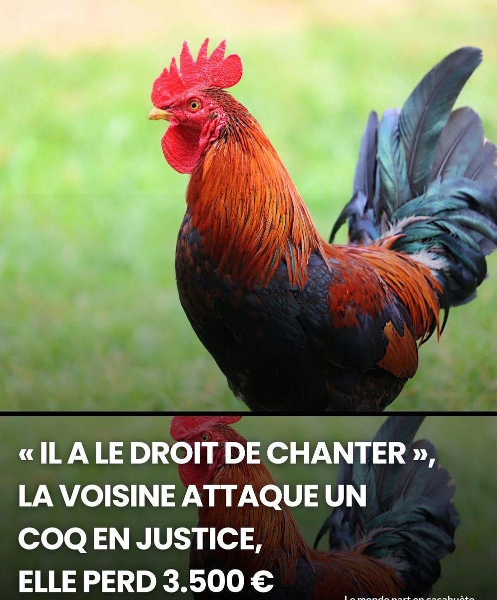 - Le Direct Info 🔴 tweet media