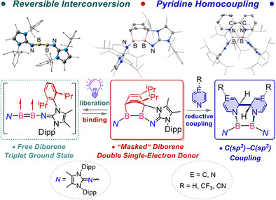 Boron_Chemistry's tweet photo. A Neutral “Masked” Diborene and Its Reactivity Toward Metal-Free Pyridine Homocoupling ( @angew_chem ): https://t.co/spKNq4X0ew ( @InoueGroupTUM ). https://t.co/6SdwJ93hgq