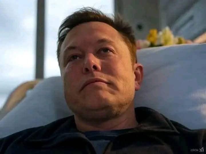 Mars Musk tweet media