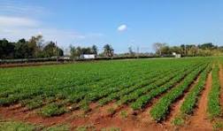 gpppmatanzas's tweet photo. El próximo sábado día 23 los territorios de Colón, Perico, Limonar, Ciénaga de Zapata y Calimete efectuarán sus Asambleas Municipales del Poder Popular, con temas actuales, como producción de alimentos, Salud y otros servicios sociales vitales.
#GOBMtz #JuntoAFidel https://t.co/Ey5TlGSNrd