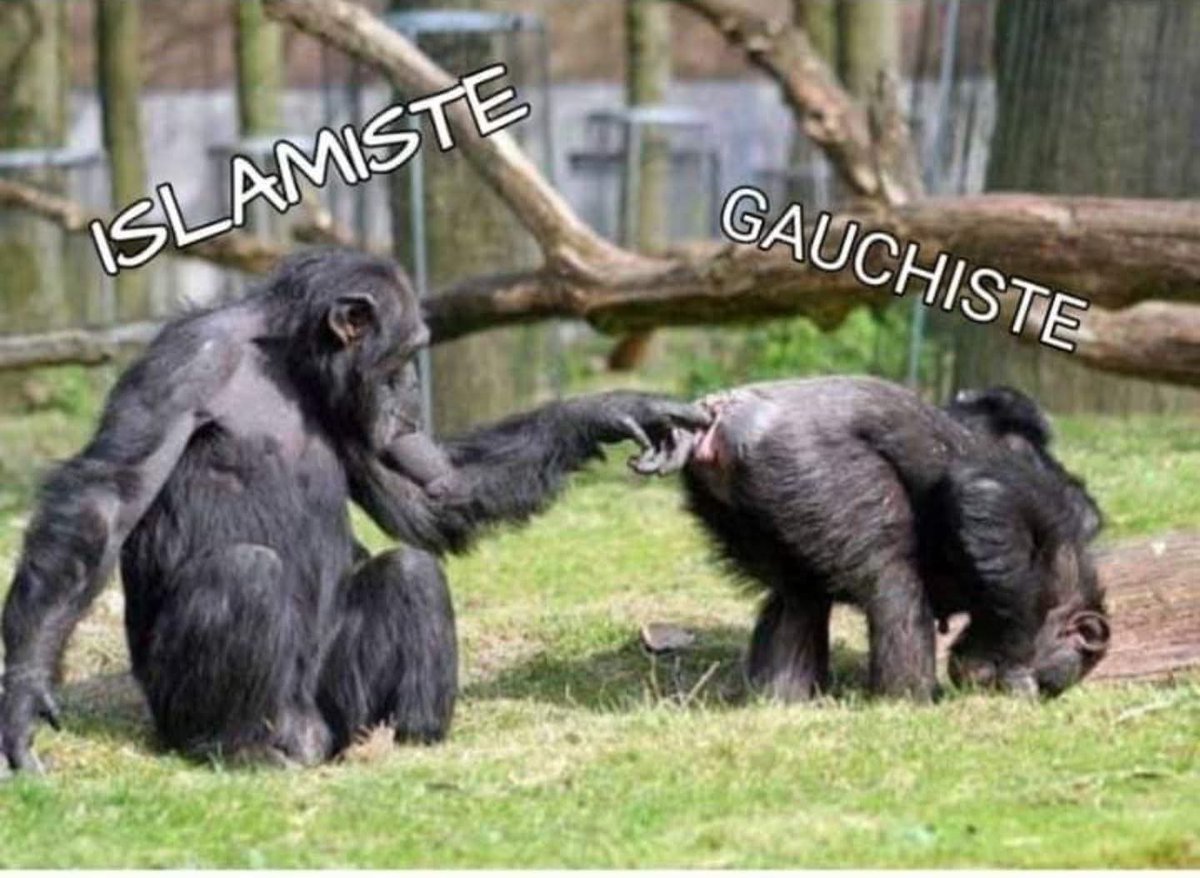 Lemien Relemien tweet media