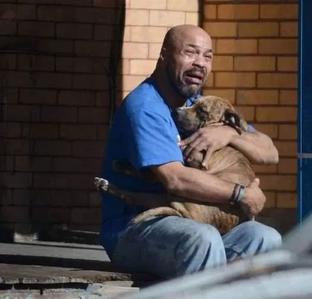 Dog Lovers tweet media