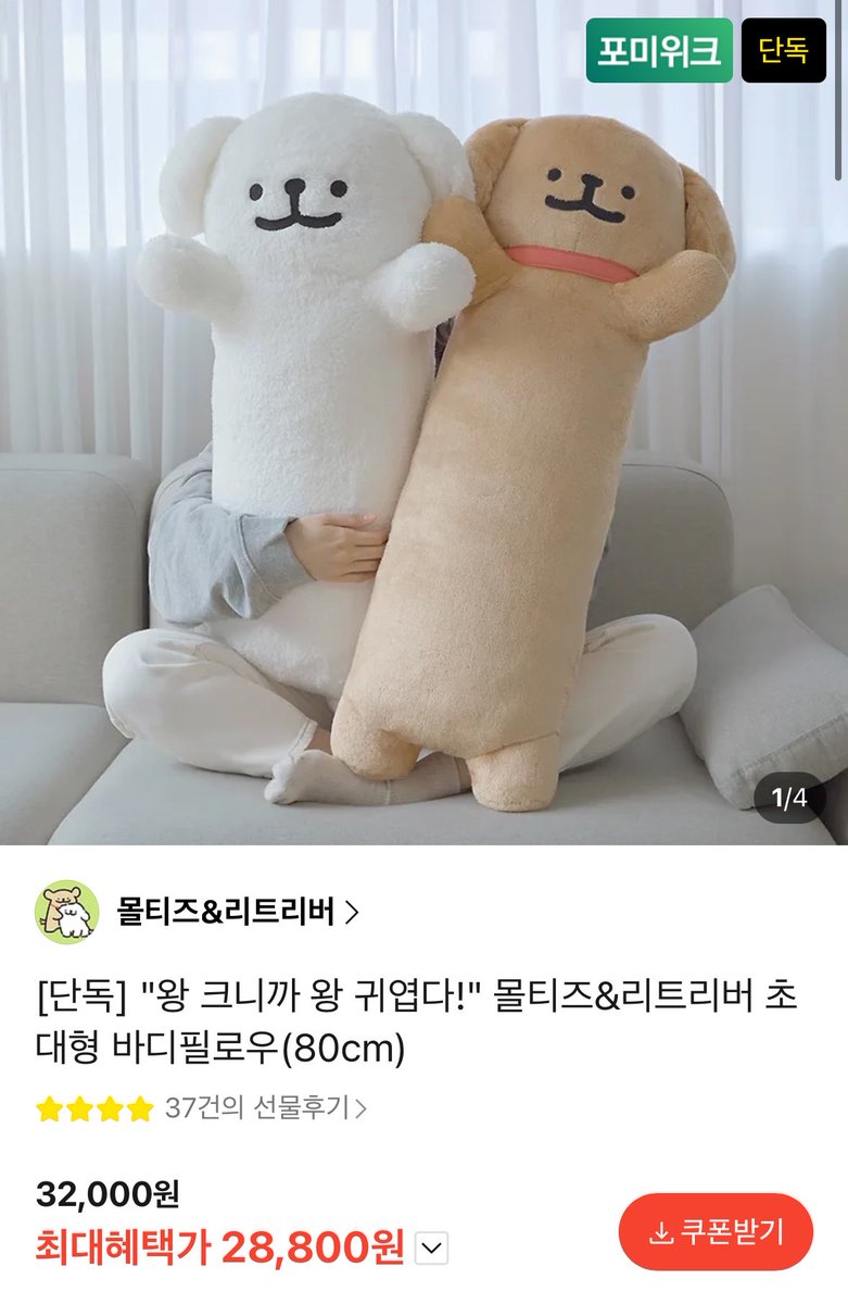 𐦠설 tweet media