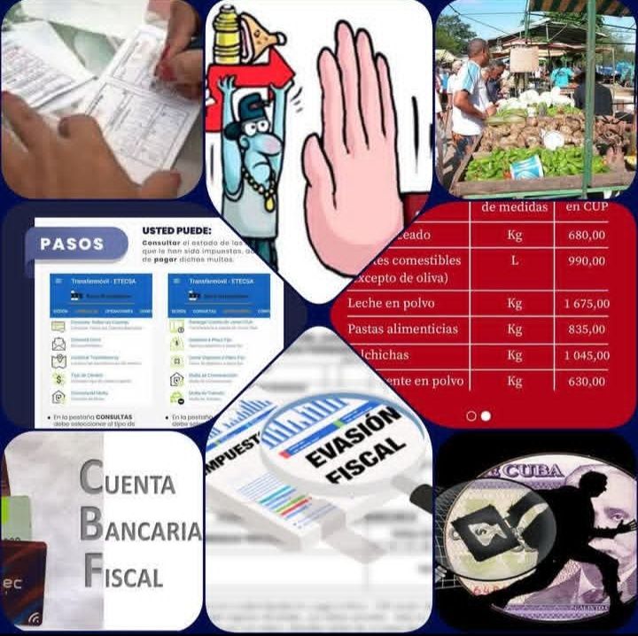 mileivis_perez's tweet photo. Semana de Ejercicio Nacional de enfrentamiento al delito, las ilegalidades, la evasión fiscal y control de precios.
Reforzando el control para prevenir y apostar por una sociedad con mayor cultura tributaria.
#OnatArtemisa
#Marcatuvalor
#EjercicioNacional
#ControlFiscal
#Artemisa https://t.co/RCHrtnKfkt