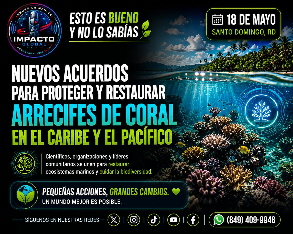 ImpactoGlobalR1's tweet photo. Esfuerzos internacionales están fortaleciendo la restauración y protección de arrecifes de coral en distintas regiones del mundo.

Científicos y organizaciones ambientales trabajan en proyectos que ayudan a recuperar biodiversidad marina, proteger especies y restaurar ecosistemas https://t.co/qGz2NR18LX