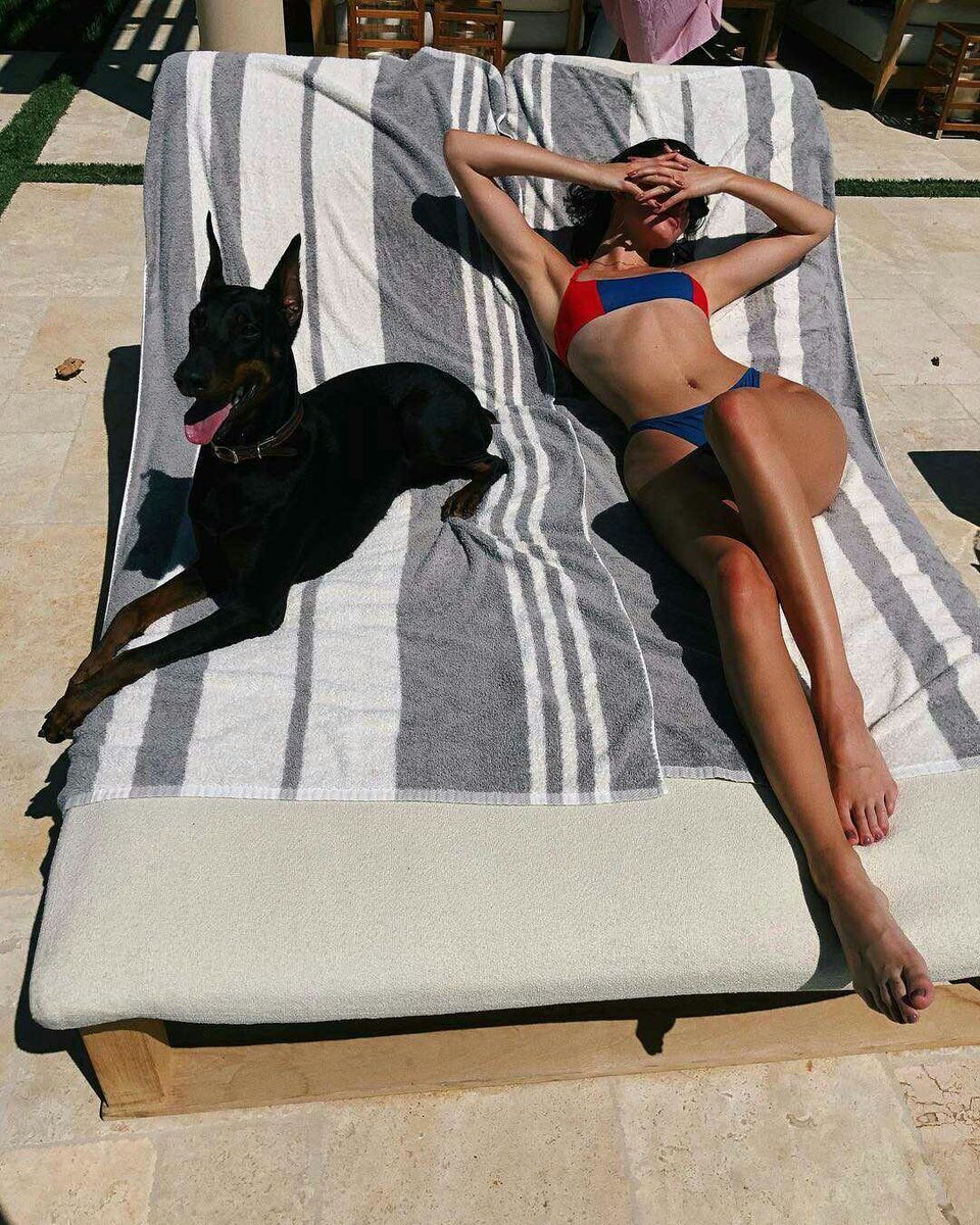 archivekend's tweet photo. the feminine urge to have a dobermann https://t.co/ELV4xJm13L