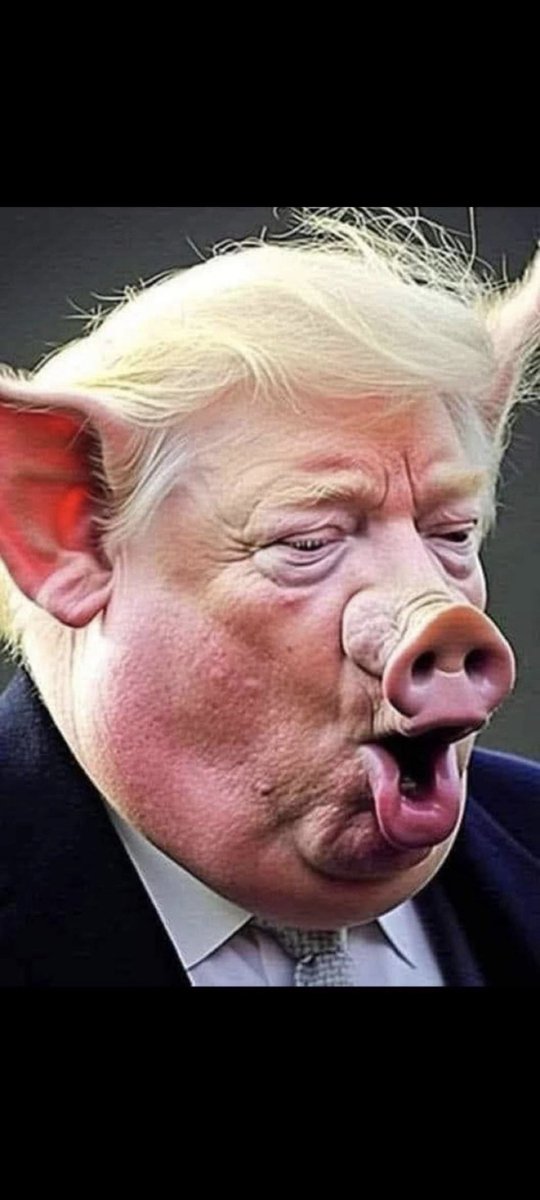 taurisg's tweet photo. @ChroniclesKiev @EthanLevins2 e sempre lui il porco arancione.🤮🤮🤮 https://t.co/ECMAe0Ojwq
