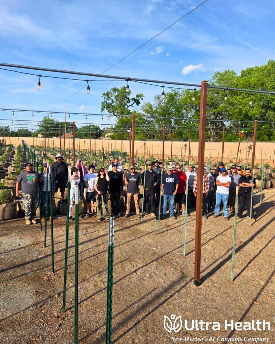 UltraHealthMC's tweet photo. Our cultivation team gave everything they had to this year's outdoor sow, and we couldn't be more proud of what they accomplished together.
Thank you to the hardest working team in the biz for all you do for our plants and our patients! You are appreciated more than you know!💚 https://t.co/9fCLg8qTIk