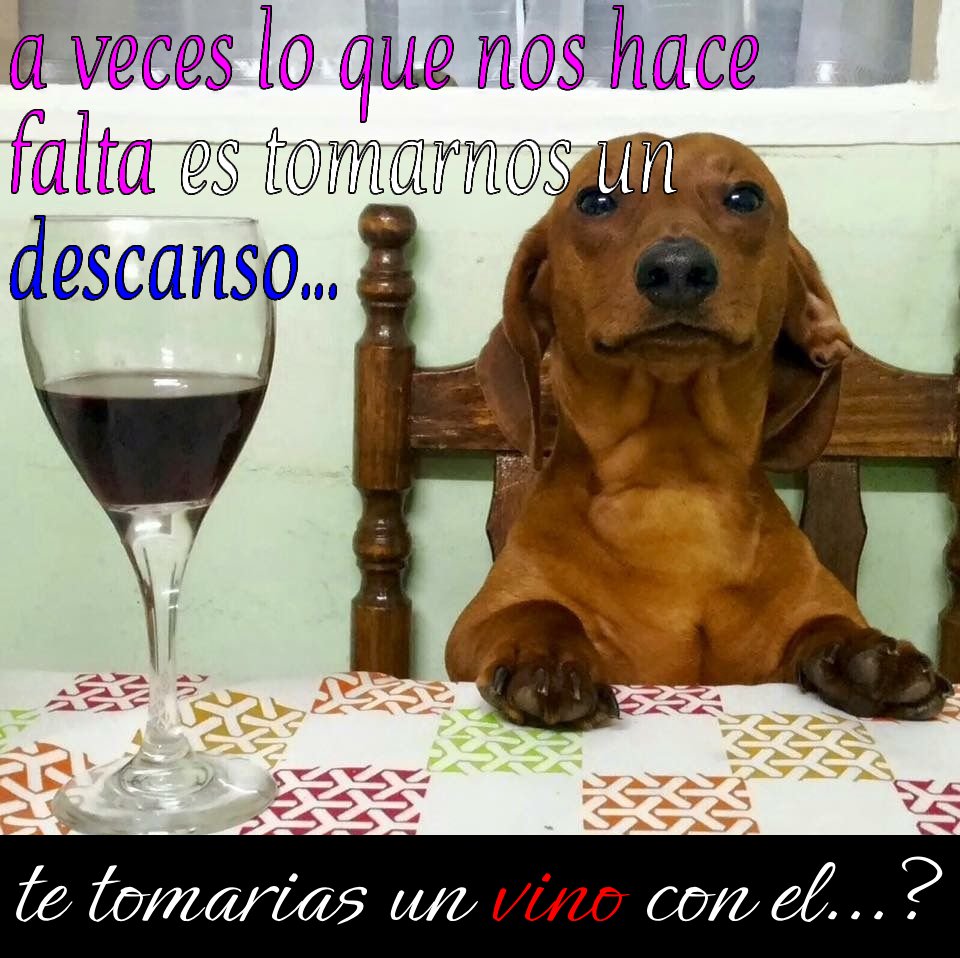 ca_tula's tweet photo. https://t.co/aFKiPEzqqJ