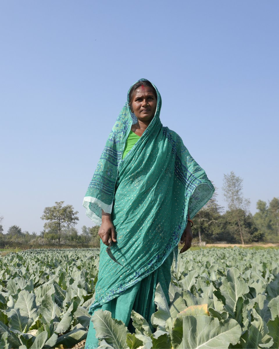 World Bank South Asia tweet media