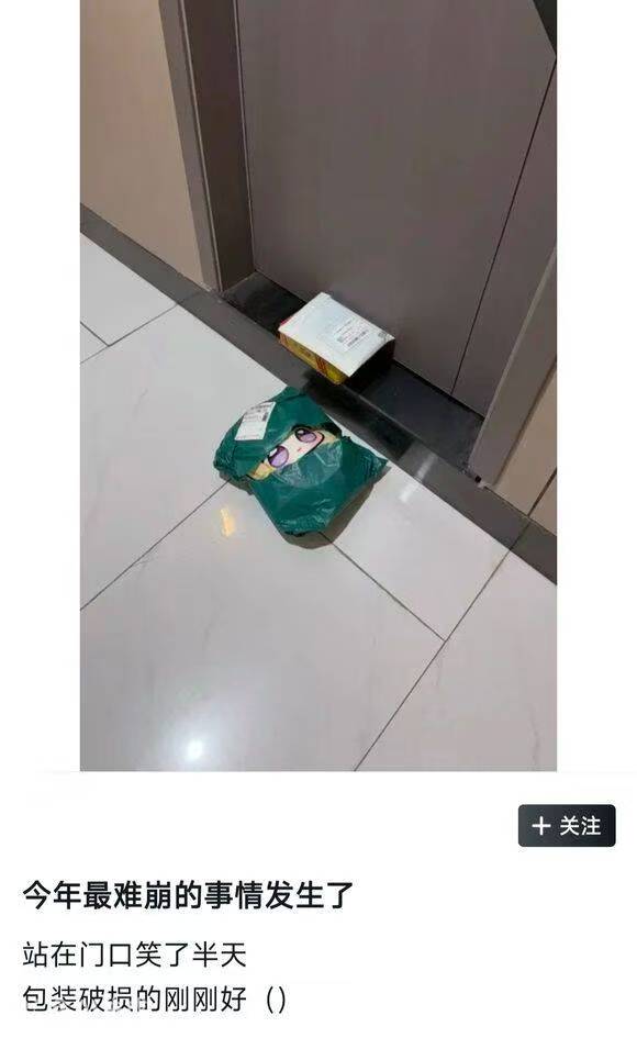 好奇猫a tweet media