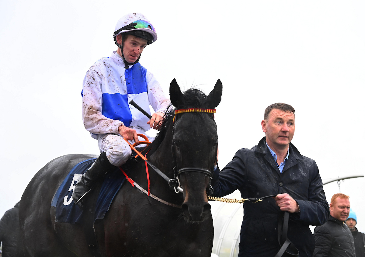 Roscommon Racecourse tweet media