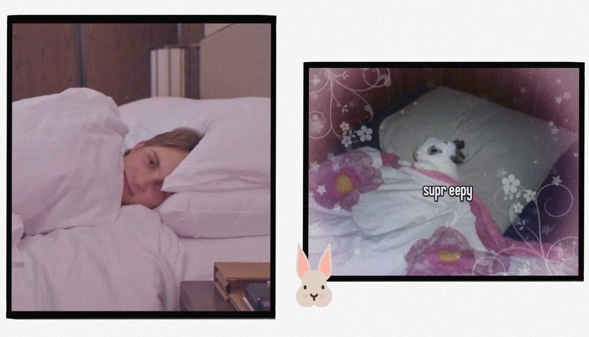 de_ddir's tweet photo. #oscarpiastri 

collection of my osc!bunny memes :: https://t.co/aXuKlfQCMR