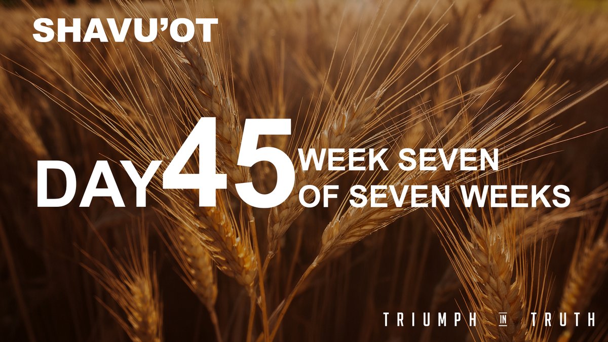 Triumph_Fam's tweet photo. Today is Day 45 of The Seveneth Week of Seven Weeks. https://t.co/nztGRNasvs