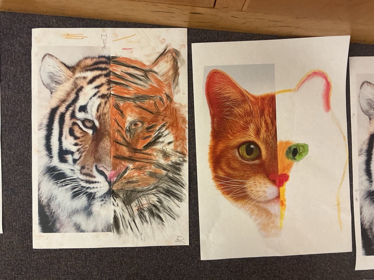 QuadringPrimary's tweet photo. Our y5/6 class have created some fantastic pastel artwork to celebrate the 100th birthday of Sir David Attenborough. I think you will agree they have done a fantastic job of completing the symmetrical half of their chosen animal. Great observation and art skills everyone! https://t.co/VoMnaXgROc