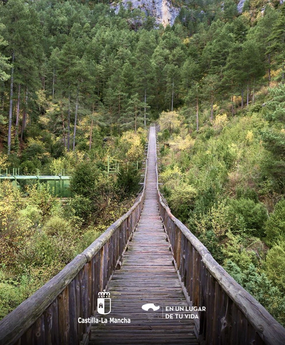 Cflasolana's tweet photo. 🪻 Maravíllate con los prados y campos floridos de la Serranía de Cuenca, donde cada estación pinta un lienzo diferente. https://t.co/0iD3Ghme3k