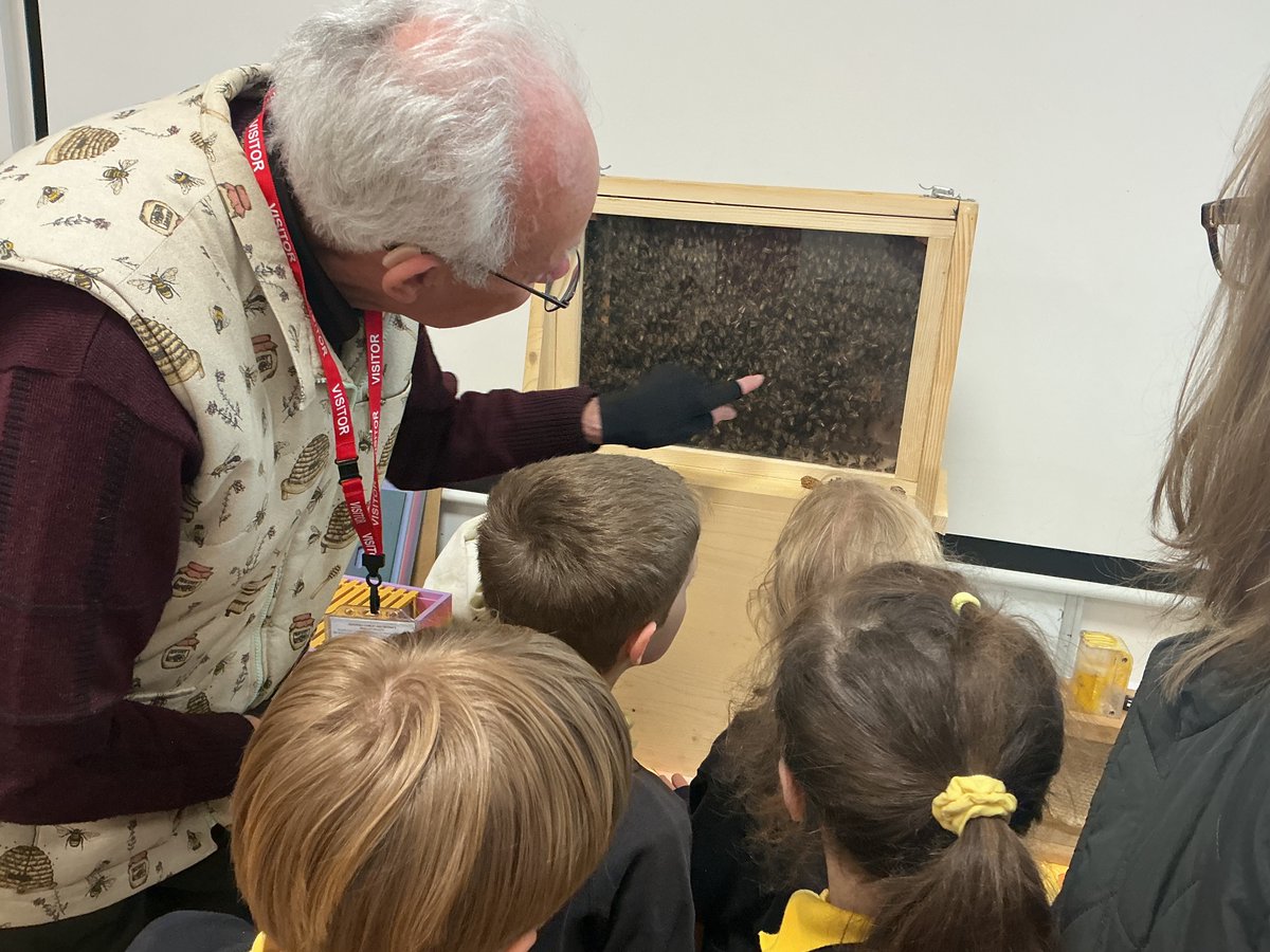 QuadringPrimary's tweet photo. A huge thank you to Pete and Roland from the Boston Bee Keepers Association who came into school today to give our pupils an informative talk all about the life of a bee and the job of a bee keeper. The children were so enthusiastic and are ready to enter the Lincolnshire Show! https://t.co/B7s5za2h6b