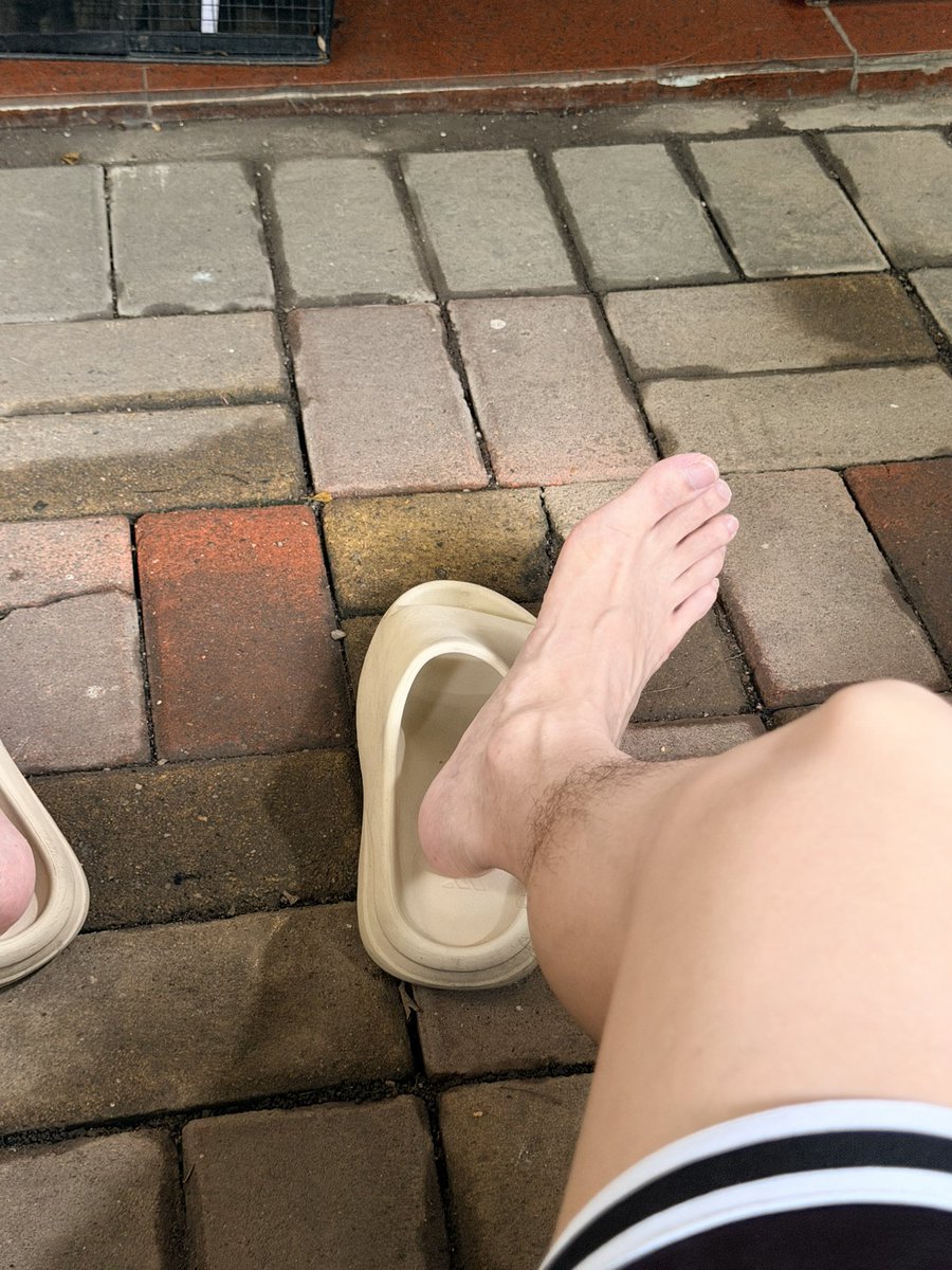 AlexFloat17 tweet picture