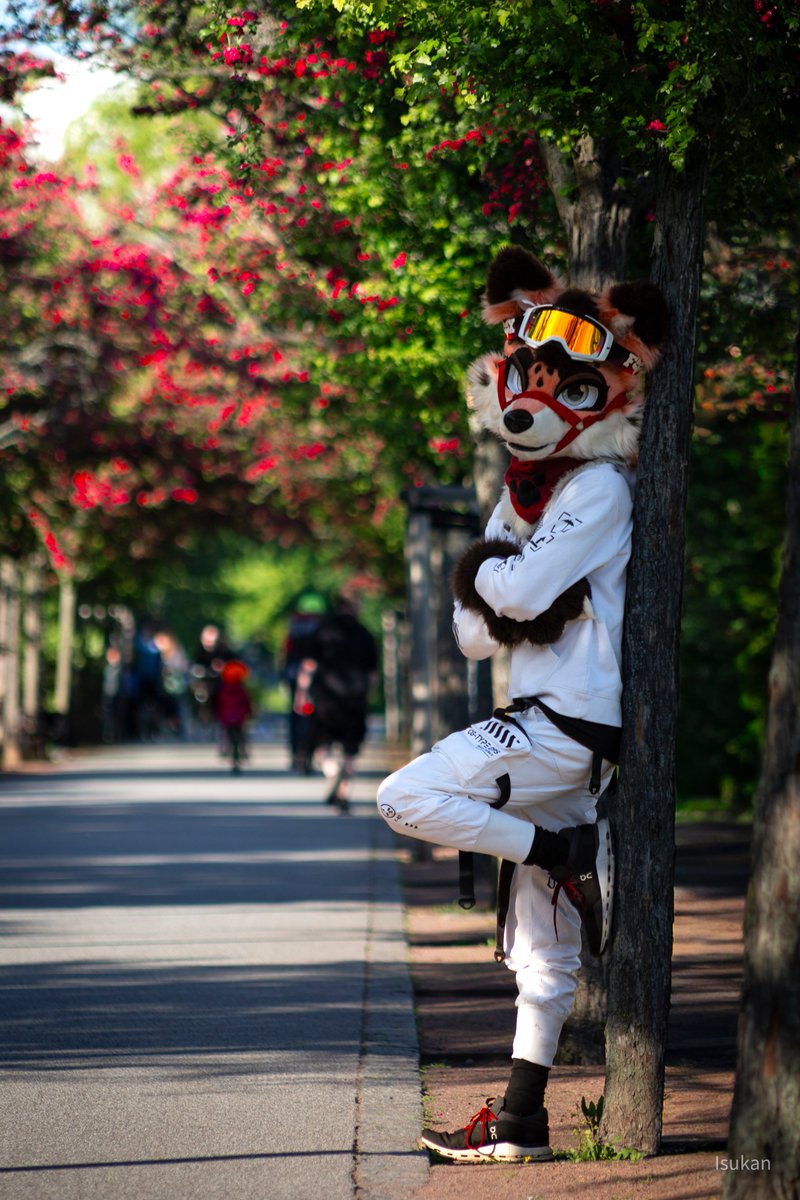 Isukan --- EF, Awoo, 2dance tweet media