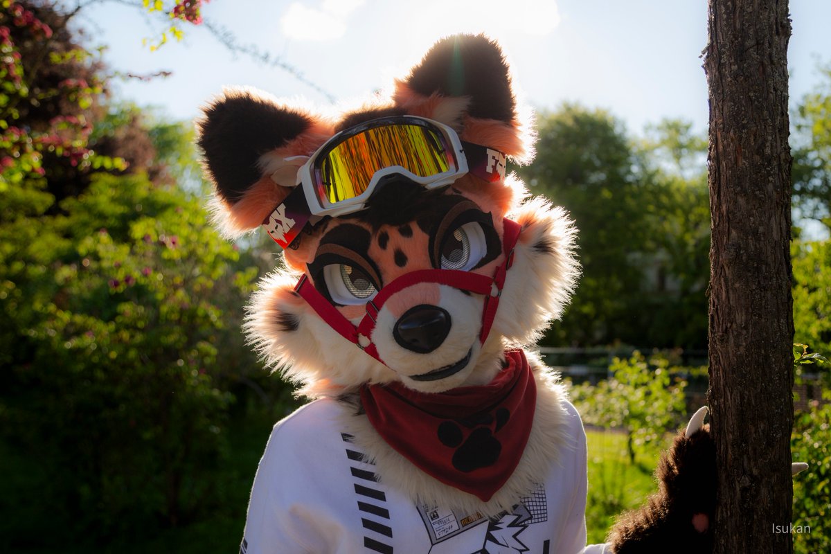 Isukan --- EF, Awoo, 2dance tweet media
