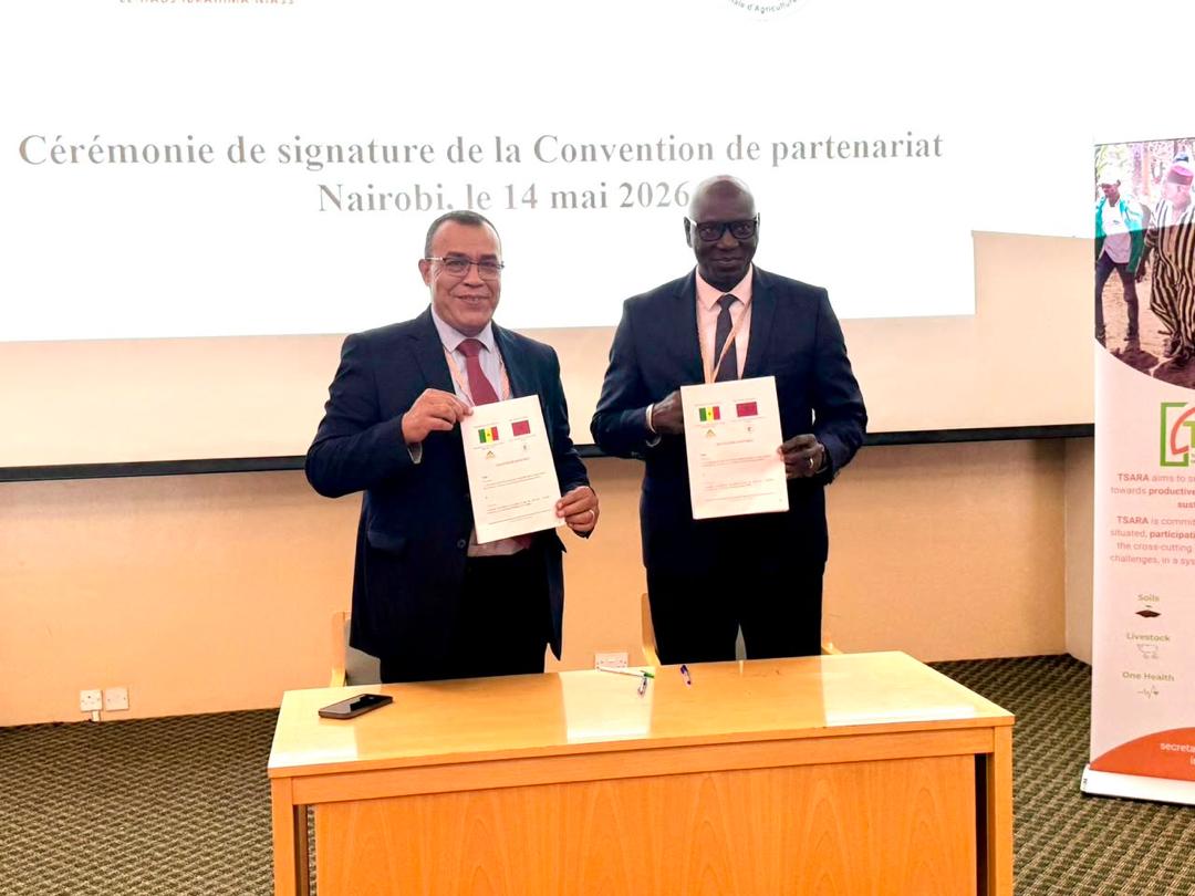 univsinesaloum's tweet photo. L’#USSEIN et l’#ENAMeknès ont signé une convention de partenariat stratégique pour renforcer la coopération académique, la recherche, l’innovation agricole et la mobilité des étudiants, PATS et enseignants.
Convention signée par le Pr Diégane DIOUF et le Pr Said AMIRI. #TSARA https://t.co/wuRhyUDcyu