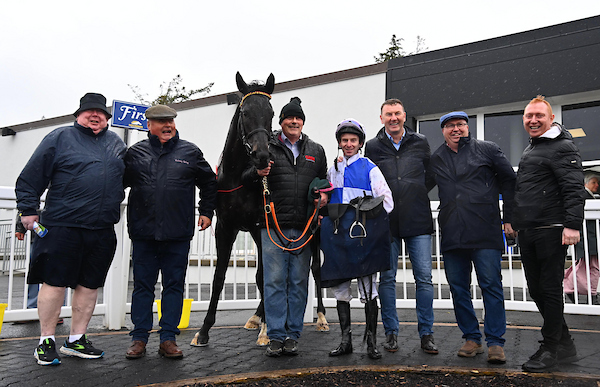 Irish Stallion Farms tweet media