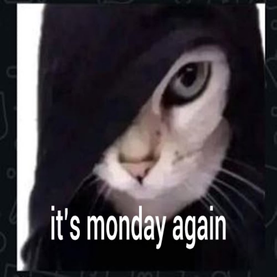 LiterallyMeCats tweet media