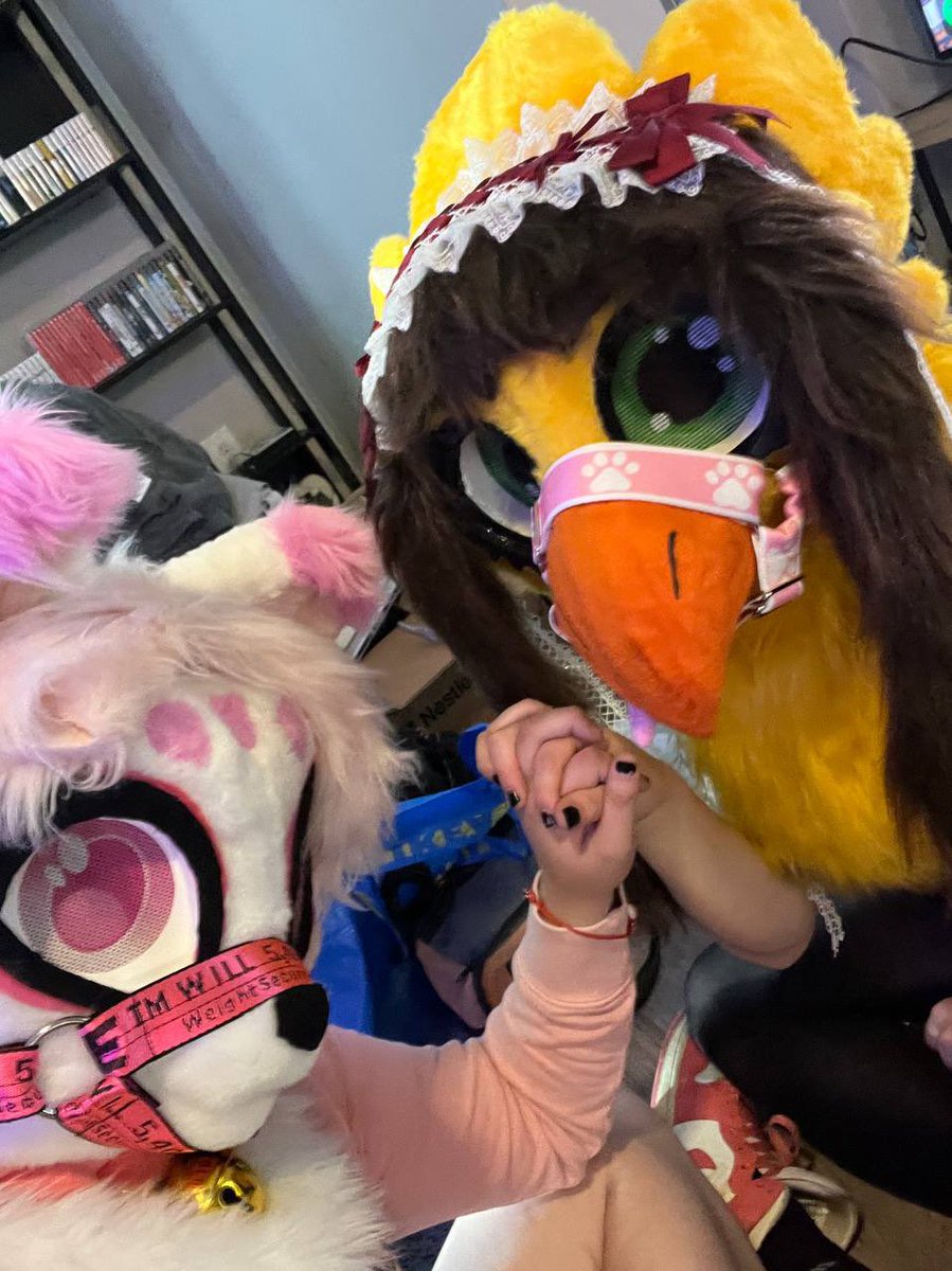 Chirpocalypse67's tweet photo. Best Friends Forever ✨✨

⬅️: AsterFox https://t.co/d2W8GOM7Lg