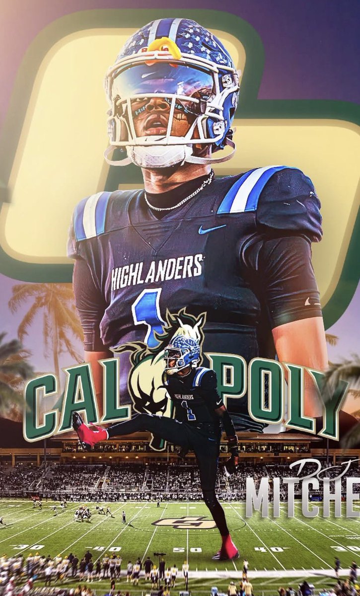 David Mitchell Jr QB1 3 ⭐️ tweet media