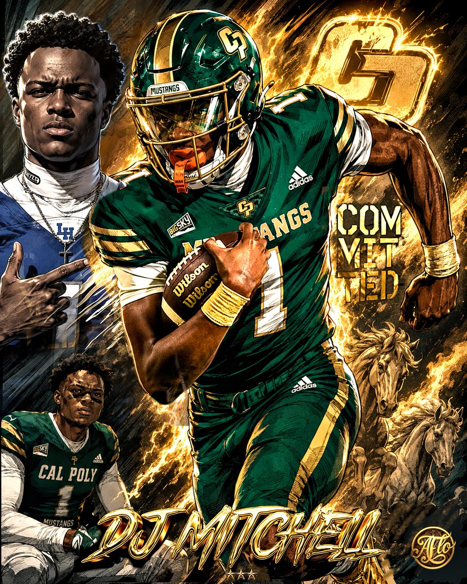 David Mitchell Jr QB1 3 ⭐️ tweet media