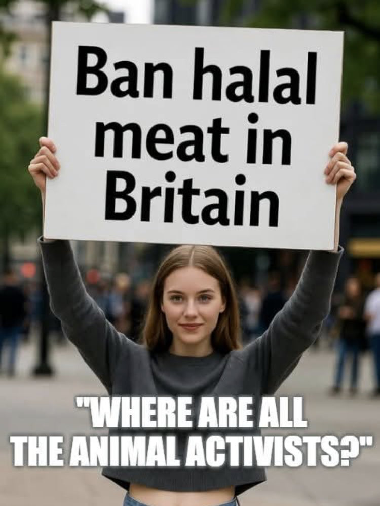 N Ecc 🏴🏴🏴 tweet media