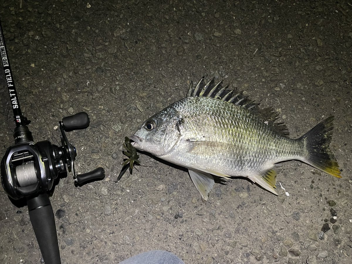 BUTZ (@BUTZbassfishing) / Posts / X