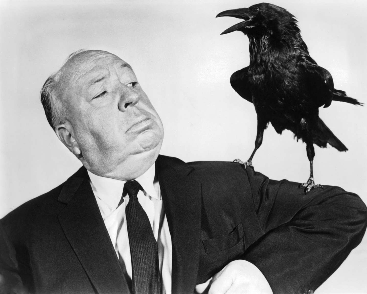 diegoquaglia2's tweet photo. Clint Eastwood
Michael Mann
Alfred Hitchcock
Jean-Luc Godard https://t.co/ol7RiqwRs1