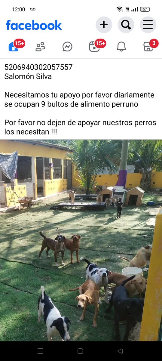 Geos4444's tweet photo. Guarden este tuit , en poco tiempo que la directora que no es veterinaria ya no pueda sostener su refugio de perros los va a trasladar a bienestar animal o tomara los alimentos se bienestar animal para su negocio de cachorrilandia @VigiaCiudadano7 @Jackskinripper @anapatyp https://t.co/6eT8RSzLOt