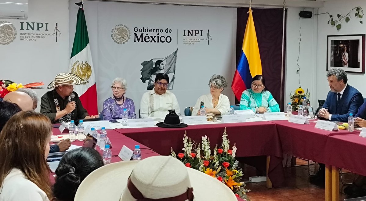 INALIMEXICO tweet media