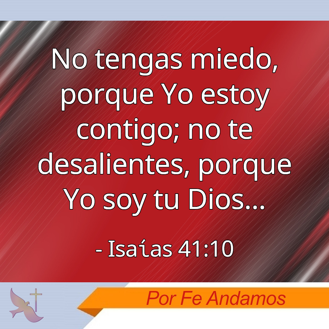 PorFeAndamos's tweet photo. 🙏
NO TENGAS MIEDO. Dios quiere que reemplacemos el miedo con fe; que recordemos que Él sigue teniendo el control, incluso cuando nuestras circunstancias no tienen sentido.

Prov. 3:6 - Busca la voluntad del Señor en todo lo que hagas, y Él dirigirá tus caminos.

AMÉN.
. https://t.co/Gqqkcicl7R