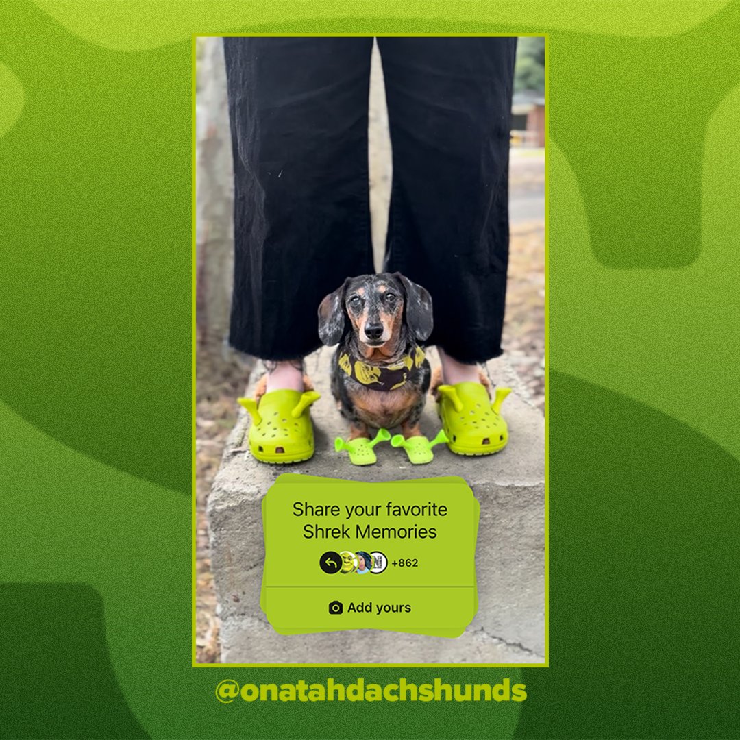 Shrek's tweet photo. https://t.co/reY6XrrVbx