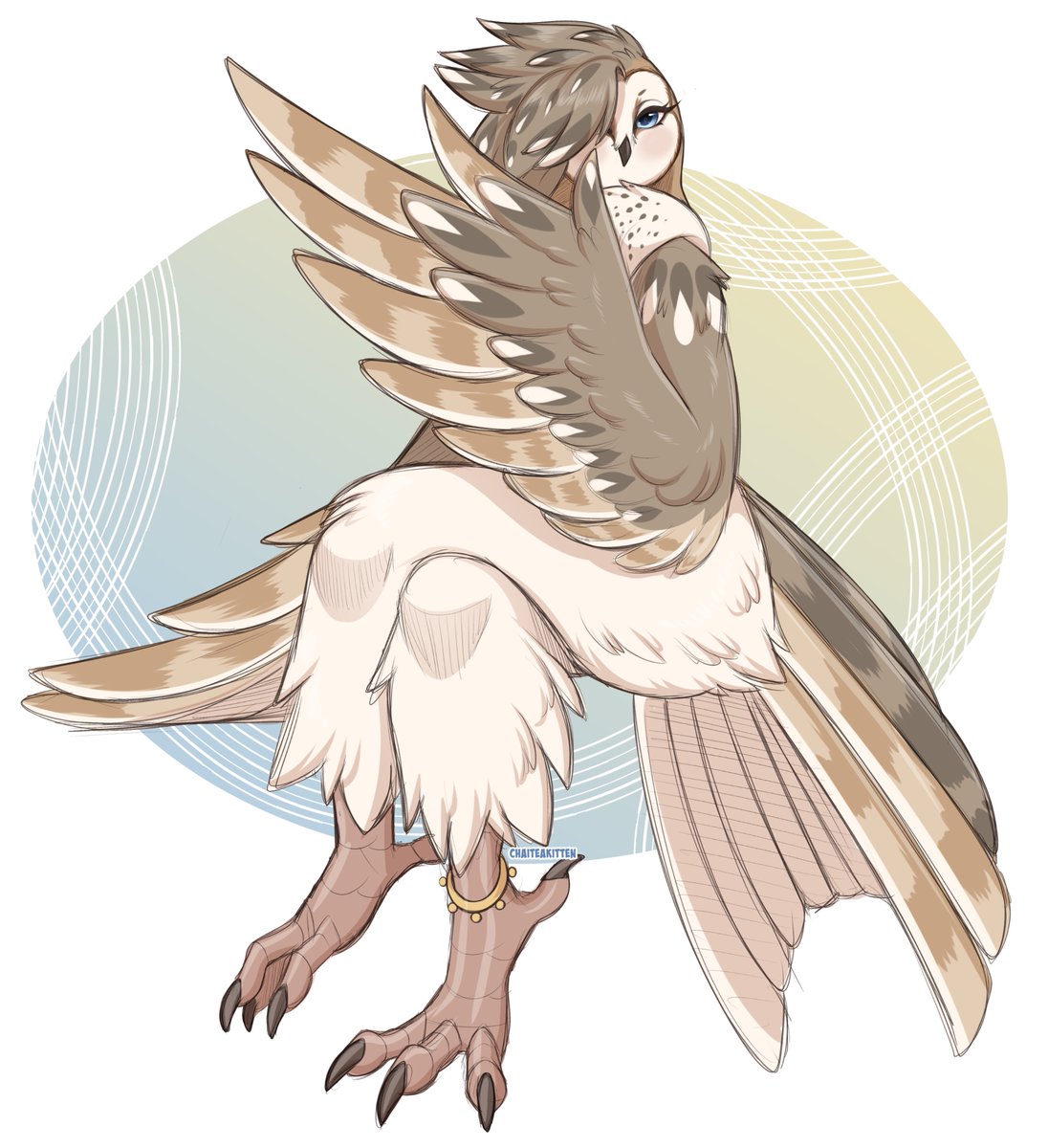 ChaiTeaKitten's tweet photo. Birb sona sketch 🦉 https://t.co/GPcyKtSY93