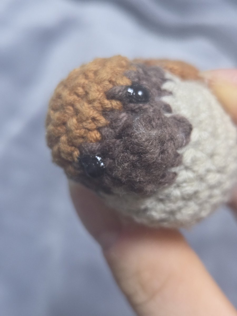 knitting_HHam_'s tweet photo. 다들... 조심하세요.... 제가 너무 생각없지 두기도 했지만 디퓨저 근처에 뒀던 뜨개 참새.... 디퓨저+더운 날씨 콤보로 인형눈이 녹았더라고요 ㅠㅠㅠㅠㅠ 다른 인형들은 괜찮은 걸 보니 디퓨저가 주 원인인 거 같아요... https://t.co/Q7Zc79qmEZ
