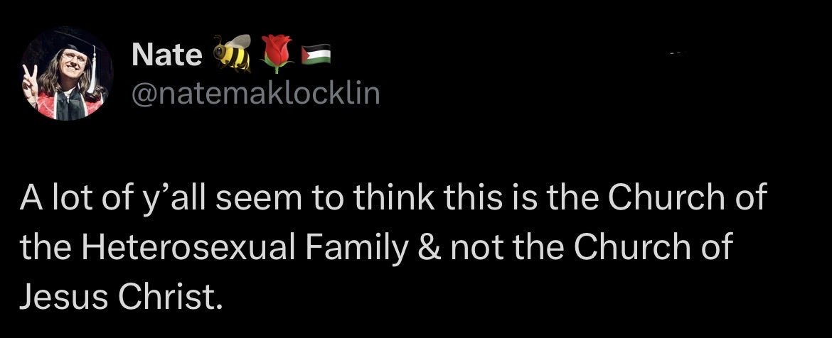 Nate 🐝🌹🇵🇸 tweet media