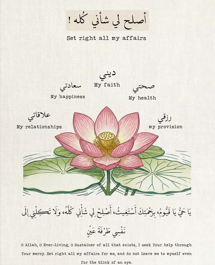 مُطمئِنةَ.! tweet media