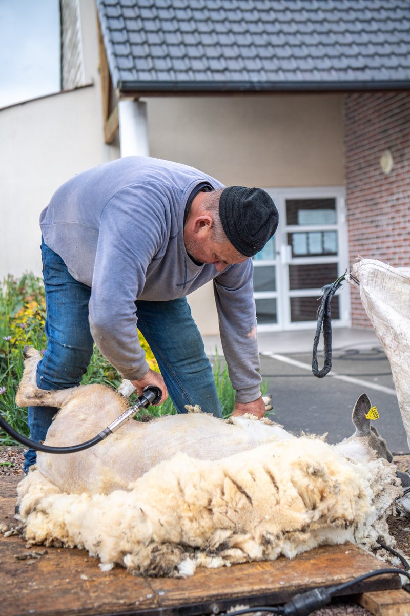 pasdecalais62's tweet photo. 🚜 8️⃣6️⃣ème Foire commerciale et agricole de #Pernes : l’occasion d’évoquer le soutien du Département au monde agricole, et l’édition 2026 de Terres en Fête, "Le salon de l’agriculture du Pas-de-Calais", du 5 au 7/6 à Tilloy-les-M. : un événement accompagné par la collectivité ! https://t.co/ymsPnbiCdI