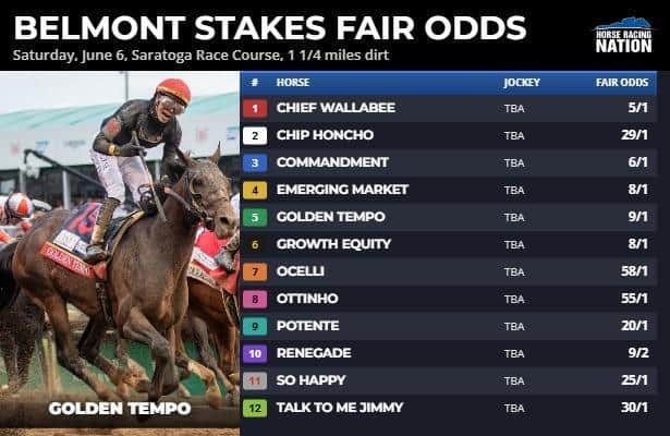 Horse Racing Nation tweet media