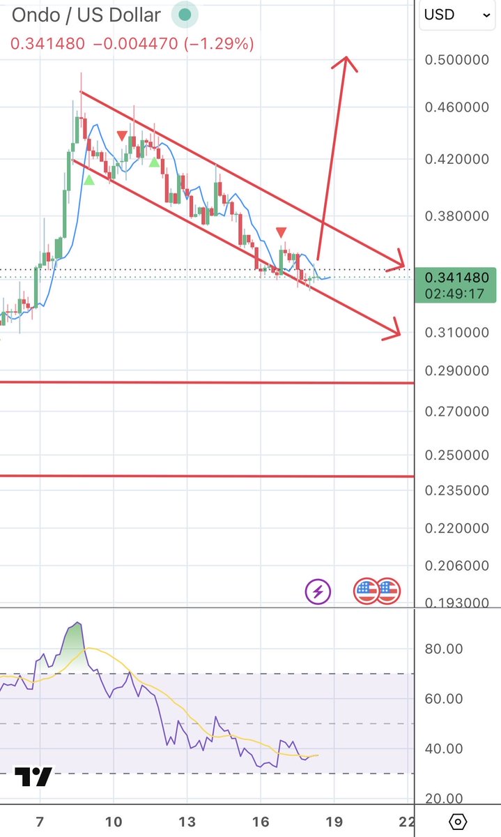 wildly bullish tweet media