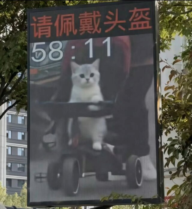 是早露泡泡兔呀 tweet media