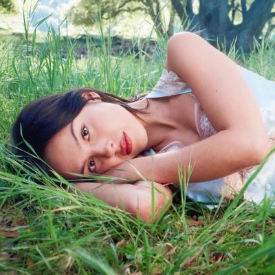 pgp hub ꕤ tweet media